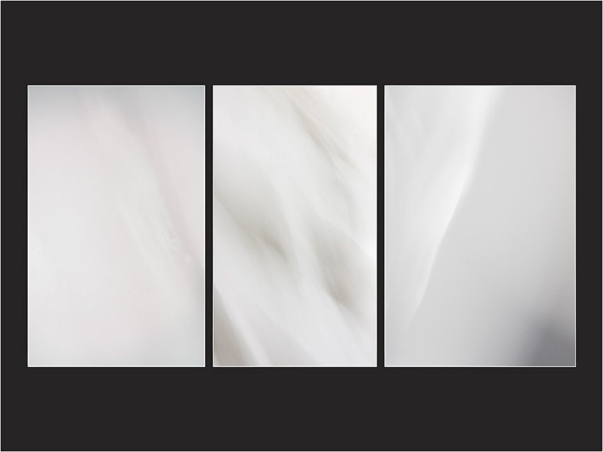 White-Tripty.jpg