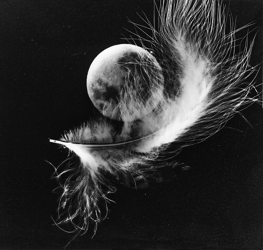 Mond-an-seiner-Feder-juedischer-Engel-Mythos.jpg
