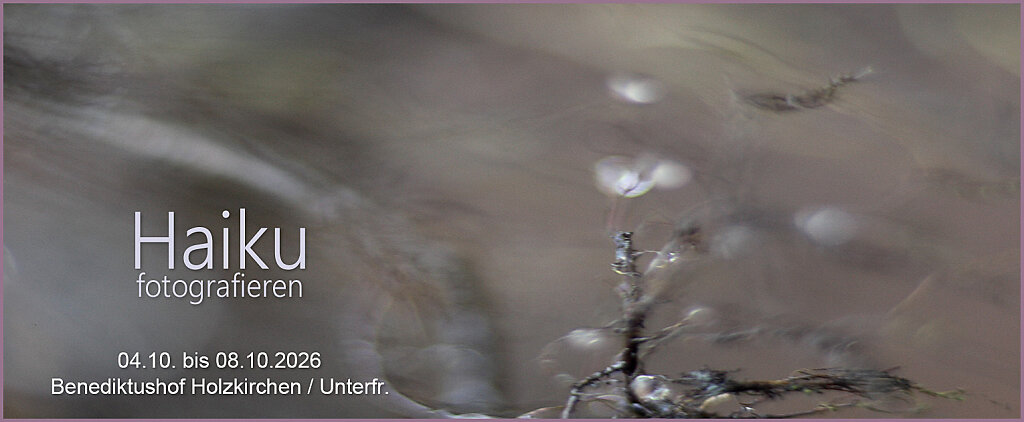 26-10HaikuBene.jpg